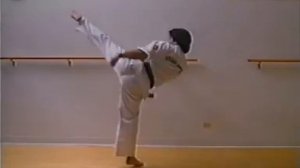 Эншин Каратэ Sabaki method 1