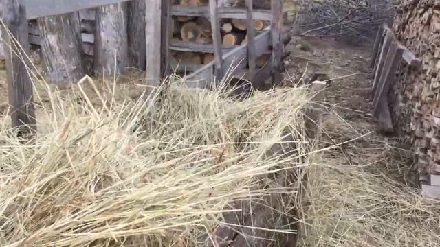 Как вырастить картошку под соломой? Тыква на целине. Посылка с юга, распаковка. смотреть онлайн