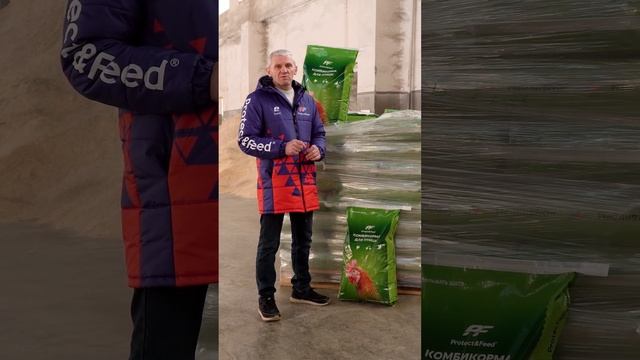 Чем отличается рацион кур-бройлеров и рацион несушек?Чем кормить бройлеров? Рацион несушек.Сельхоз