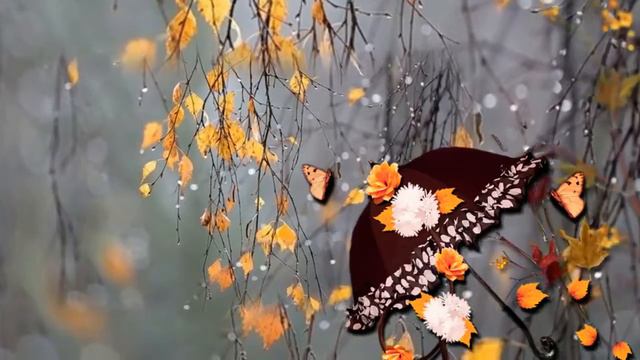 Мишель Легран Шербургские зонтики монтаж Галины Поздеевой смотреть онлайн