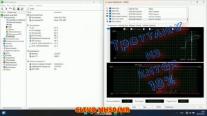 часть 2ая, обзор CLEVO NH50JNR; HASEE ZX 9-DA3DA;Eurocom Raptor X15 первый запуск был с троттлингом