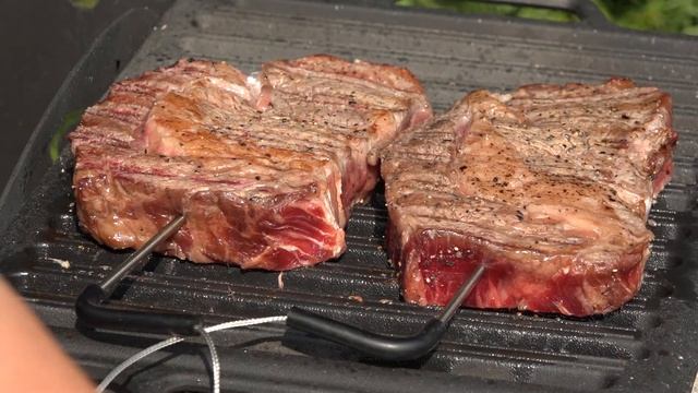 Два вида стейков на мангале "Тадж-махал" производственной компании "Огонь" смотреть онлайн