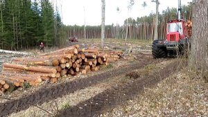 Двигатель Д-245, почти хватает мощности.