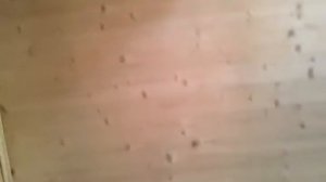 01. Саратов строительство под ключ - Садовый дом каркасный Дачник-3Т 7,2х4,9м