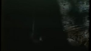 김문희,백일섭,박진희,홍성민 마님(1987년)