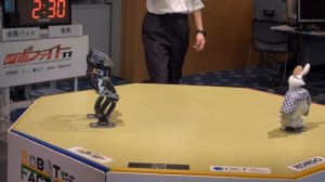 Битва роботов 2010. Заяц против Ворона