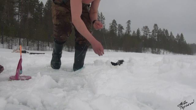 Таёжные истории. Март5. Трофейная щука / The northern forest stories March5. A huge pike смотреть онлайн