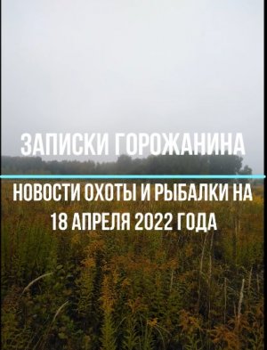 Новости охоты и рыбалки на 18 августа 2022 года