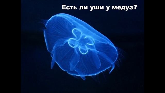 Объединение 