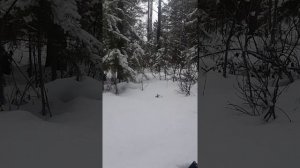 Подклад. Что делать, если подкинули землю?