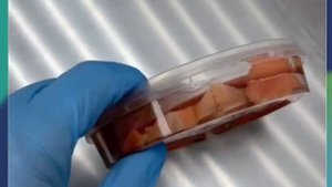 ПРЕСЕРВЫ. Кета филе ломтики слабосолёные в масле ?