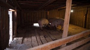 ЖИЗНЬ В УРАЛЬСКОЙ ГЛУБИНКЕ