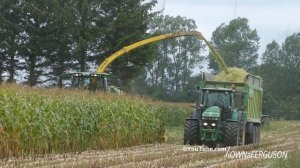 John Deere 8530 Working Hard During The Maize / Corn Season | Pure Power | Danish Agriculture