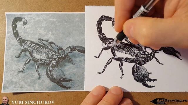 скорпион speed art смотреть онлайн