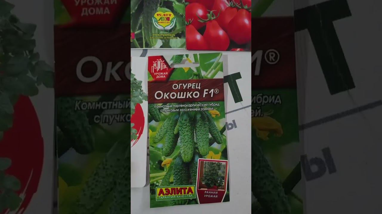 Огород на подоконннике. Урожай дома  #советысадоводам #домашнийогород #огороднаподоконнике