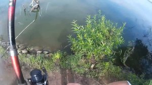 Протеин как прикормка для рыбалки. Спортивное питание (FitActive) в качестве прикормки для рыбалки