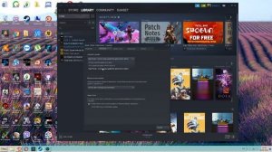 Steam не обновляет игру, решение проблемы на примере Mount & Blade 2 Bannerlord