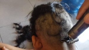 Hair Clipper WS-T99 Dragon n Phoenix