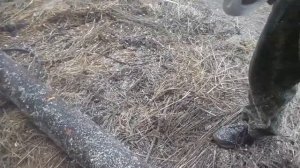 Дебаркер фреза на болгарку УШМ