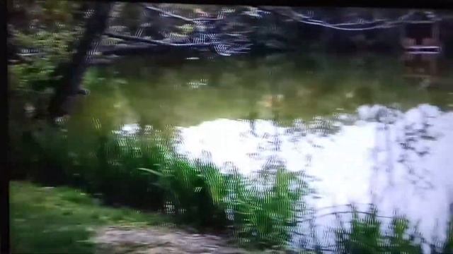 Лазаревское,Дивное озеро в мае 2021г смотреть онлайн