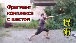 Тао Лу с шестом Гунь. Фрагмент тренировки