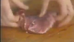 Джулия Чайлд и компания