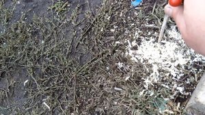 Дымогенератор для холодного копчения запуск, небольшой обзор.