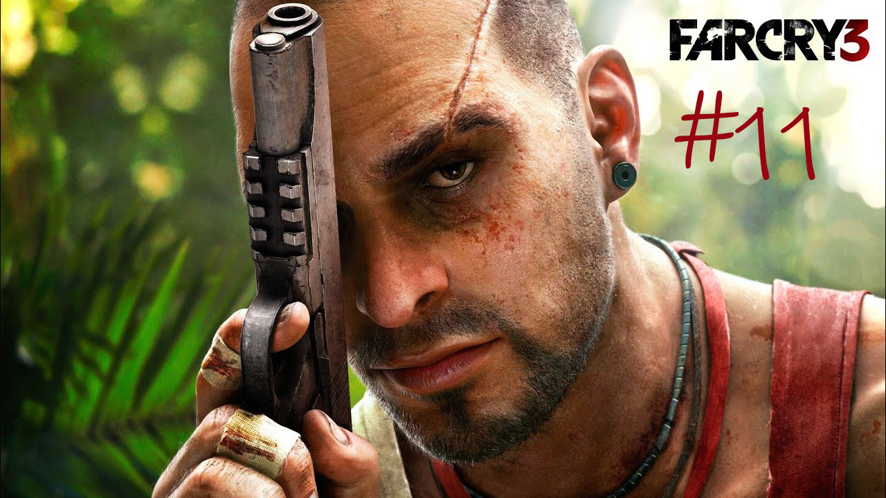 Far Cry 3 #11