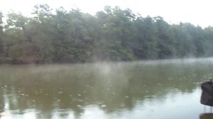 Фидер...Шатура 07-08.08.2014г К отчёту на сайте FION.RU