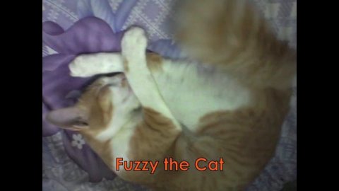 The Power Learning Podcast - 4 - Find Your Fluency Wedge - Learn Advanced English Podcast