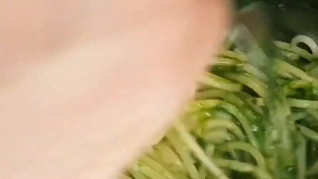 Спагетти с соусом песто смотреть онлайн