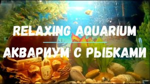 Relaxing aquarium  Аквариум с рыбками