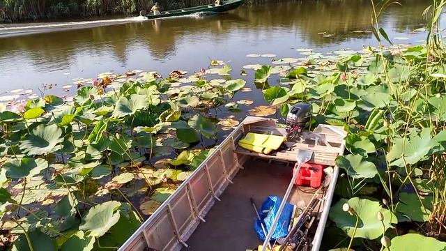 Астрахань Воскресеновка август 2019 г рыбы нет вoды нет смотреть онлайн