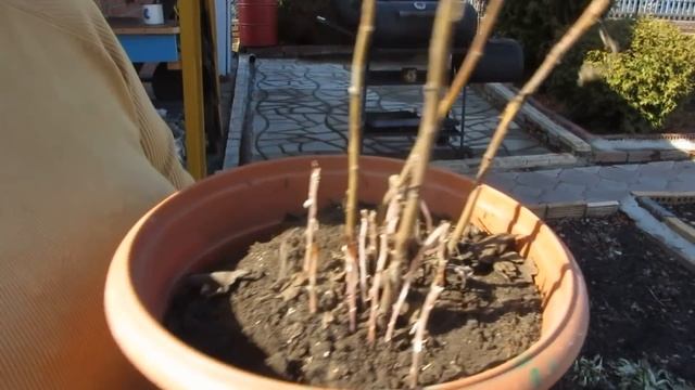 27 апреля все достаем из погреба. смотреть онлайн