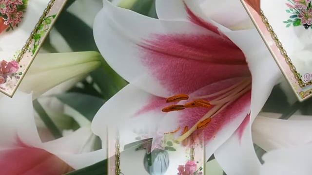 Галерея выпускников - Композиция "Сюрприз" смотреть онлайн