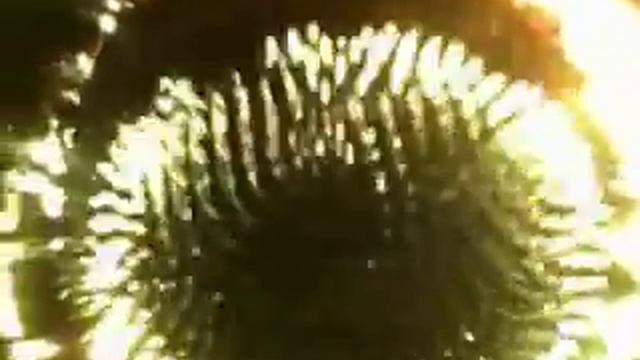 Спиралоид - объемная спираль (ракушка)