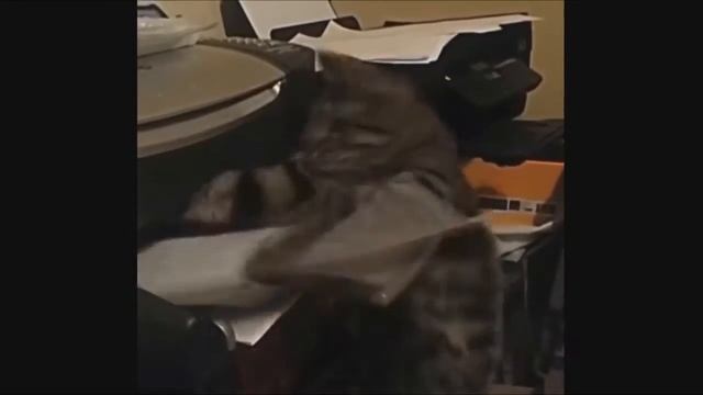 Раздвинула ноги Приколы с девчонками и др Новинки Видео Приколов смотреть онлайн