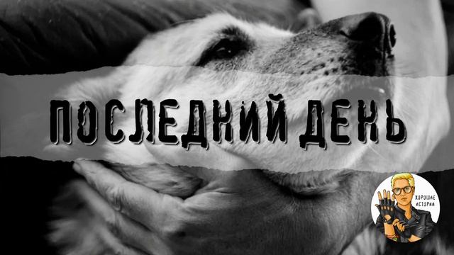 Последний день смотреть онлайн
