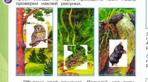 Окружающий мир. Рабочая тетрадь 1 класс 1 часть. ГДЗ стр. 50 №1