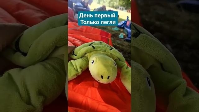 Для самых ленивых в Черногории начались ежегодные соревнования по лени. Победителем признают того, ч