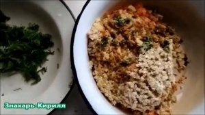 САМЫЕ ВКУСНЫЕ И ПОЛЕЗНЫЕ КОТЛЕТЫ ИЗ ПРОРОЩЕННОЙ ПШЕНИЦЫ | ВЕГАН РЕЦЕПТ?