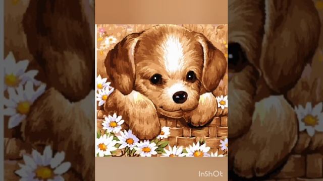 Щенок и соска  #стихи  #детскиестихи  #малышам