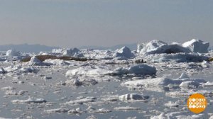 В мире. Таяние льдов. Доброе утро. Фрагмент выпуска от 03.07.2019