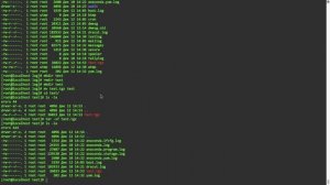 Урок 2. Проверяем IP. Коннектимся по SSH. Основные команды и утилиты