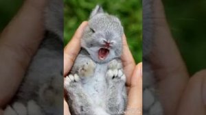 Очень милая песня❤️