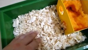 Мой хомяк живет в самых лучших условиях. Правильный уход за хомяком
