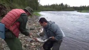 Кольский полуостров. Цага Пана Варзуга