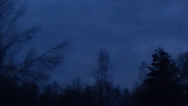 Королевские выстрелы по вальдшнепам смотреть онлайн