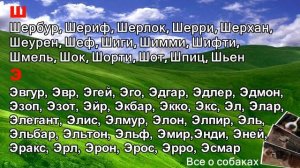 Клички собак. Кобели. Ч-Я