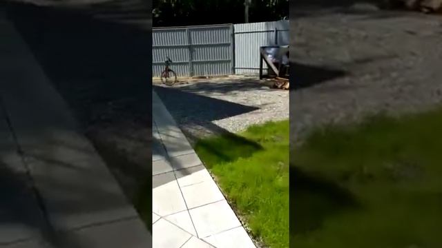 Отзыв заказчика